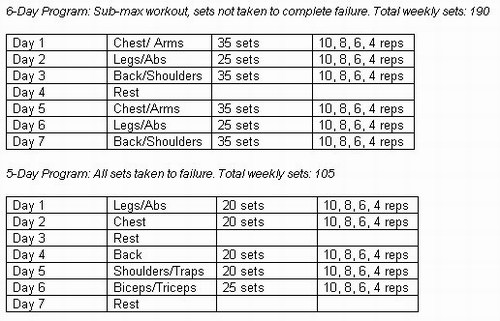 Bodybuilding Exercises Workout Program