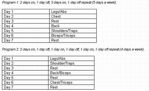 Programs For Bulking Up